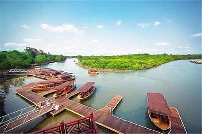 鄉村旅游與康養旅游融合發展的路徑與策略