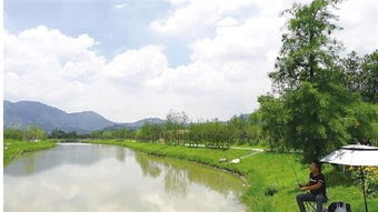 從昔日洼地到今日景區(qū) 村企抱團(tuán)，繪就旅游開發(fā)新畫卷