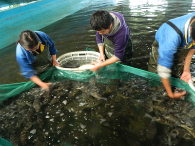 海安 以特色農業為基，串起旅游開發協同發展鏈