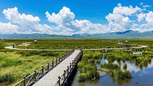 旅行社服務行業與旅游開發的融合發展趨勢